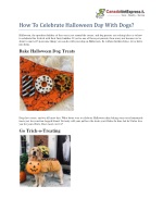 How To Celebrate Halloween Day With Dogs