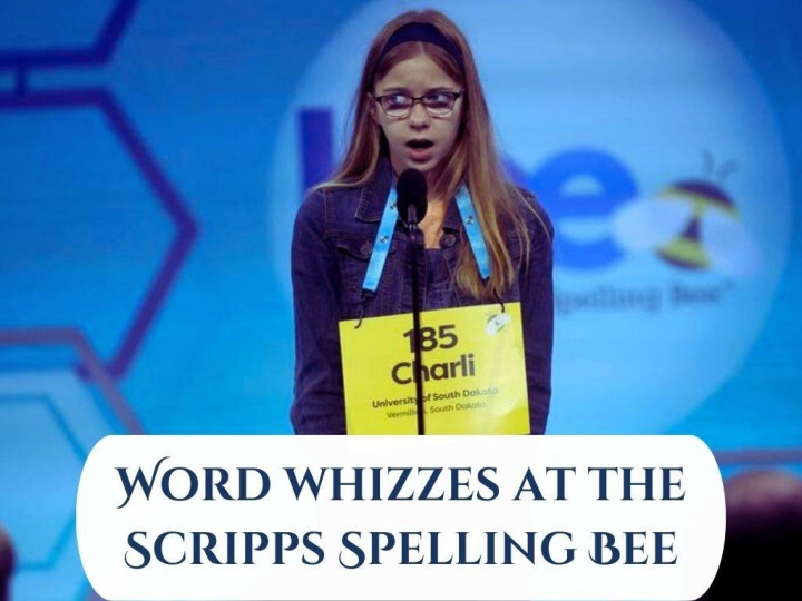 word whizzes at the scripps spelling bee n.